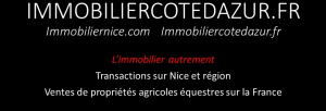 Agence immobilière immobiliernice.com Nice