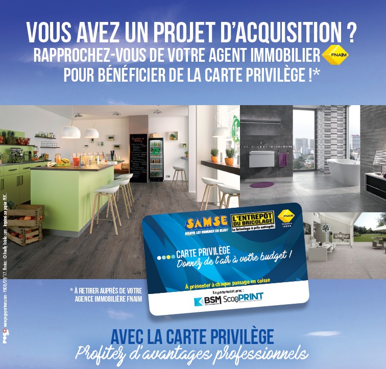 Carte Samse Avantages Pros Baud Immobilier Villard De Lans