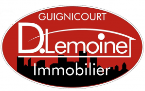 D.LEMOINE IMMOBILIER